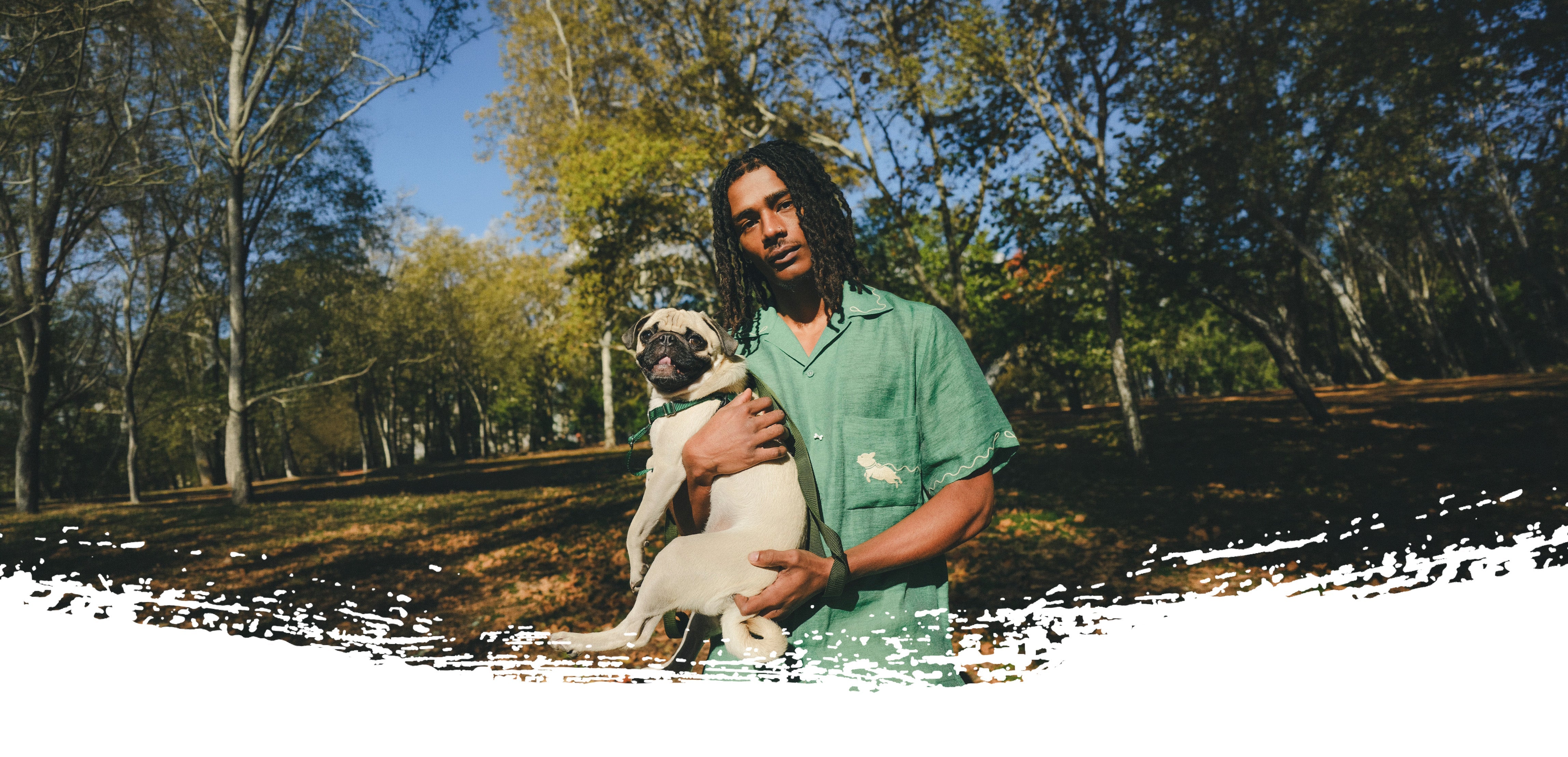 Dogwalker Collection