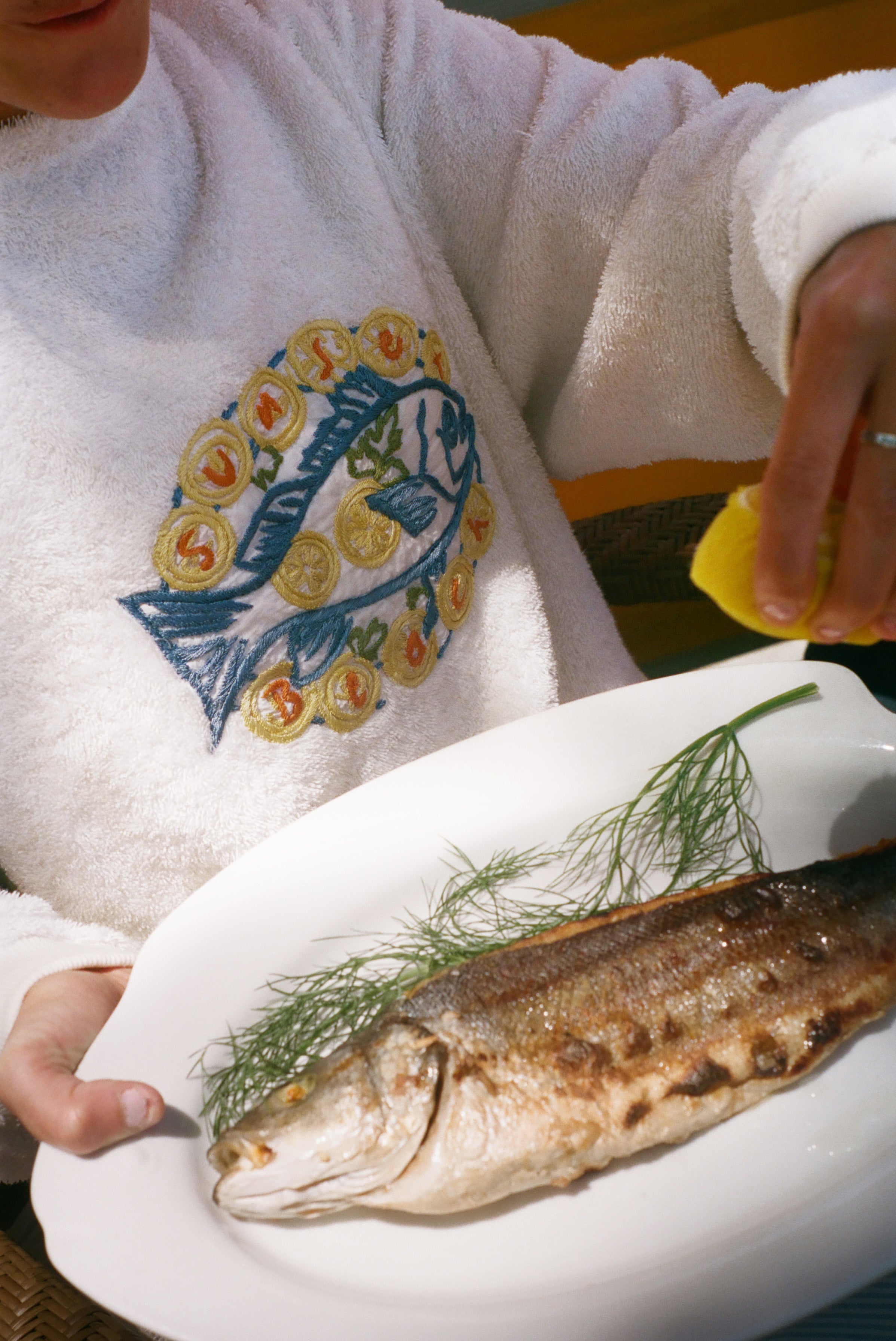 Slide image