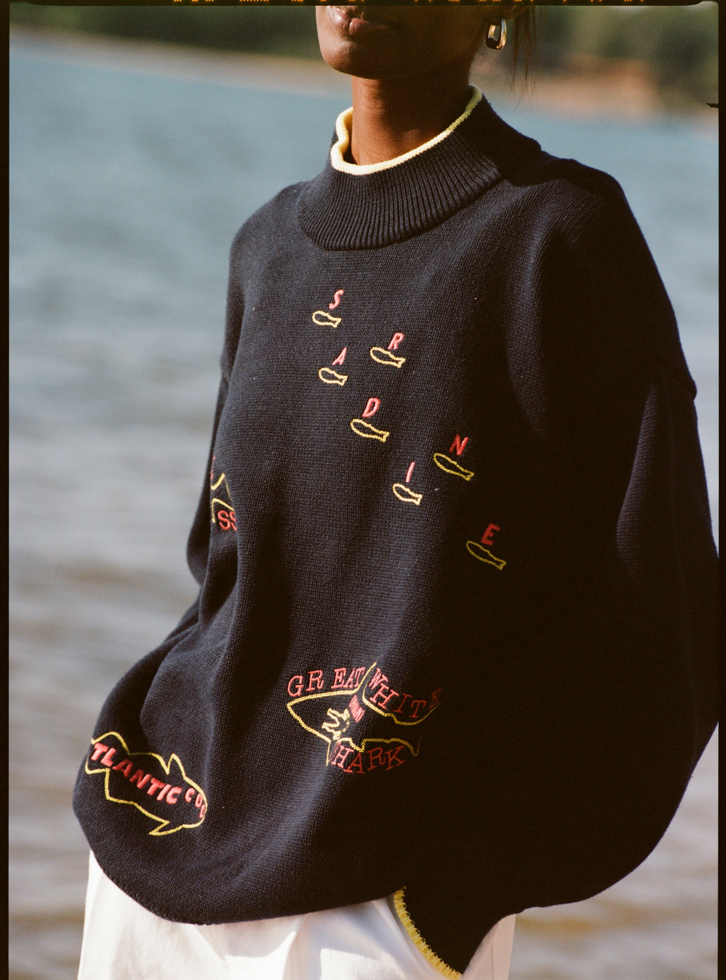 A woman wearing a navy knit sweater with yellow trim at the collar, cuffs, and hem. The sweater features playful, embroidered fish outlines with red lettering, including “Sardine” scattered across the chest, “Atlantic Cod” near the hem, and “Great White Shark (Human!)” on the lower torso. 