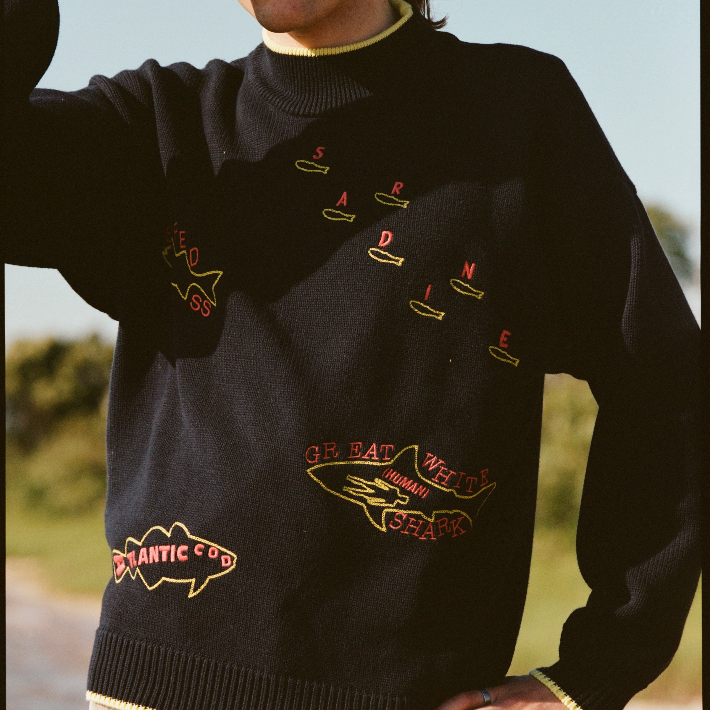 A man wearing a navy knit sweater with yellow trim at the collar, cuffs, and hem. The sweater features playful, embroidered fish outlines with red lettering, including “Sardine” scattered across the chest, “Atlantic Cod” near the hem, and “Great White Shark (Human!)” on the lower torso. 