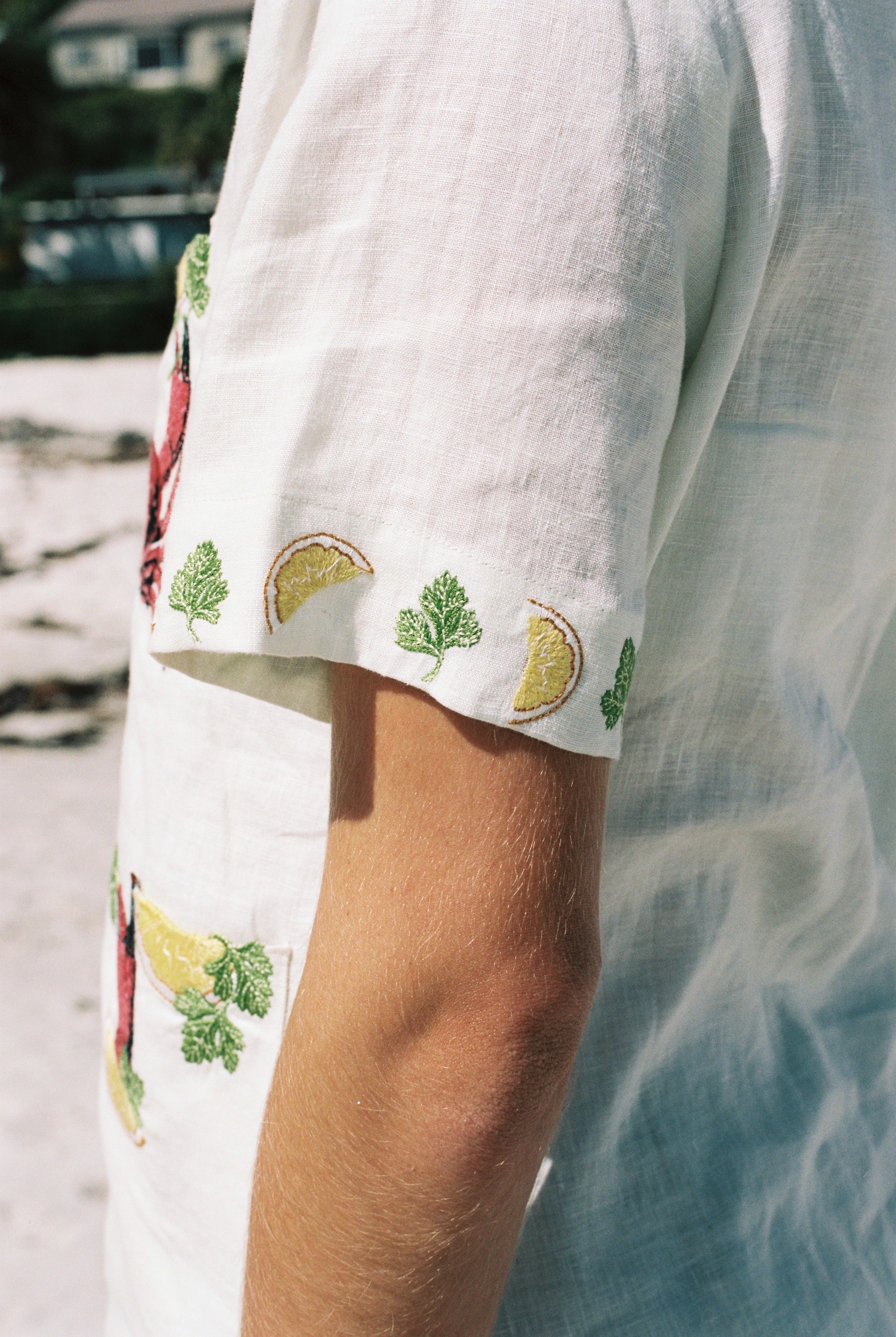 close up of side view of sleeved, showing emboridered lemons and leaf motifs