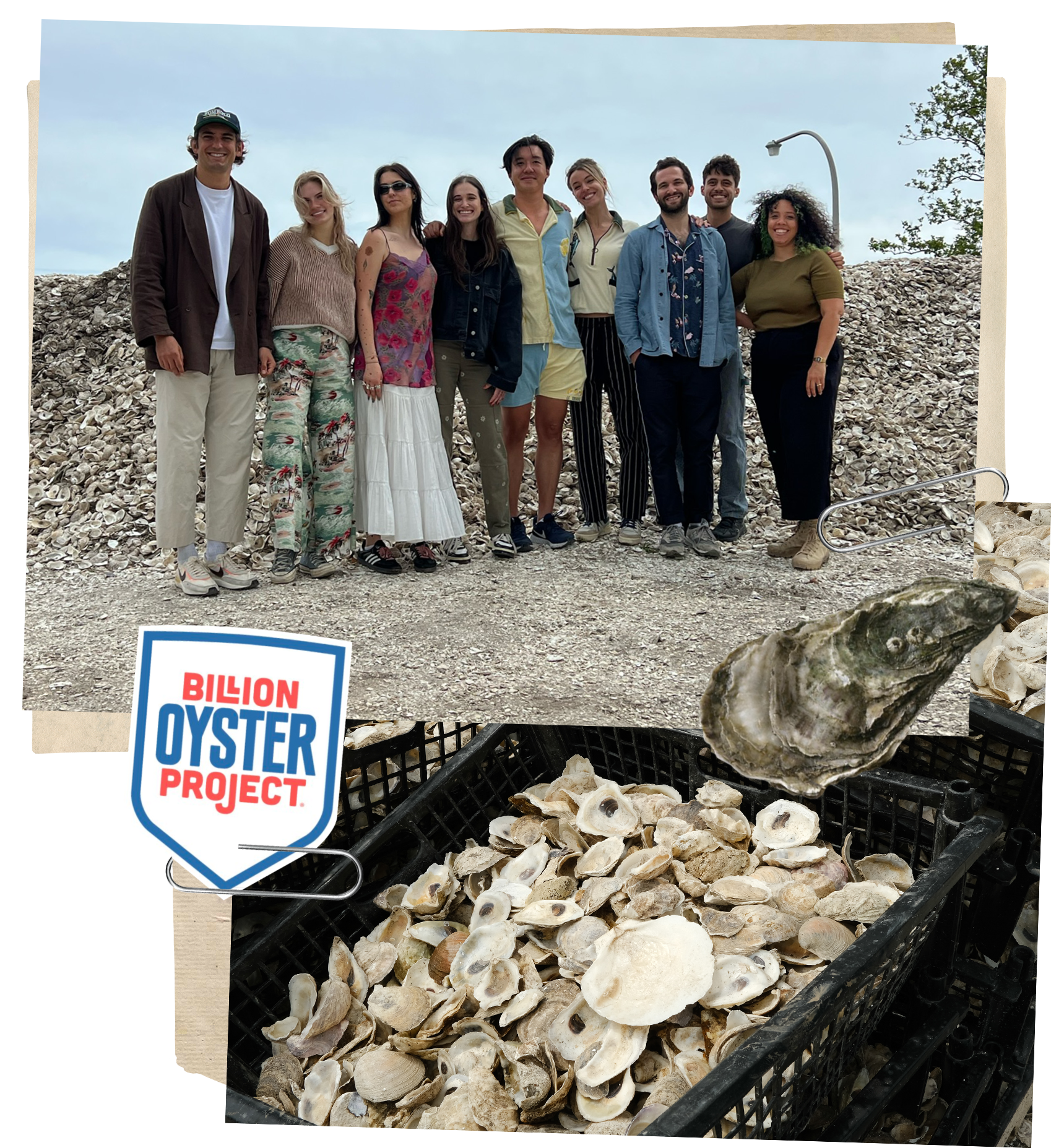 Tombolo team on their visit to governor's island to tour the Billion Oyster Project facilities, standing in front of a mountain of oyster shells