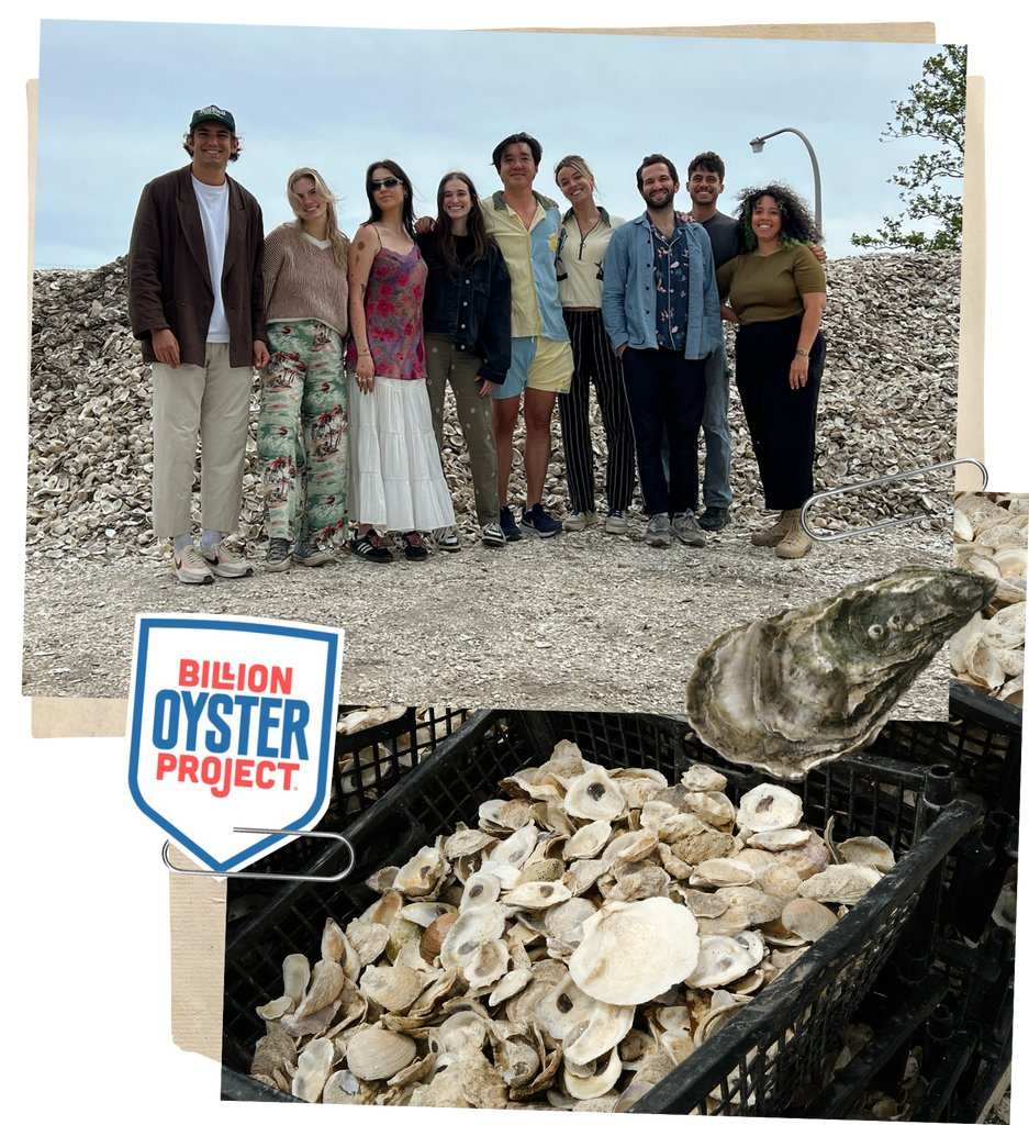 Tombolo team on their visit to governor's island to tour the Billion Oyster Project facilities, standing in front of a mountain of oyster shells