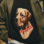 Close-up of black knit sweater featuring an intarsia dog portrait on the front wearing a red collar with white shell details.