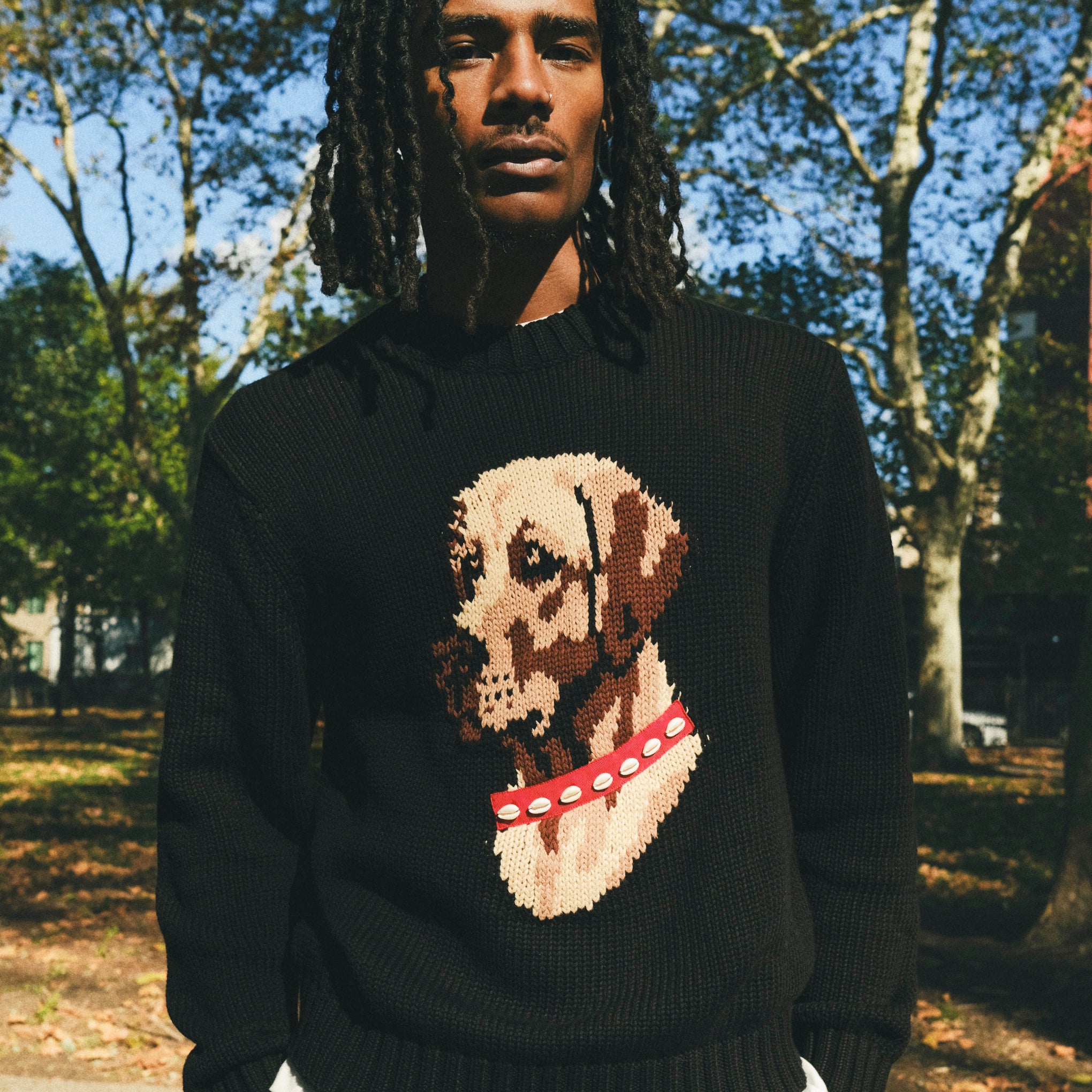 Man wearing a black knit sweater with ribbed collar, cuffs, and hem, featuring an intarsia dog portrait on the front wearing a red collar with white shell details.