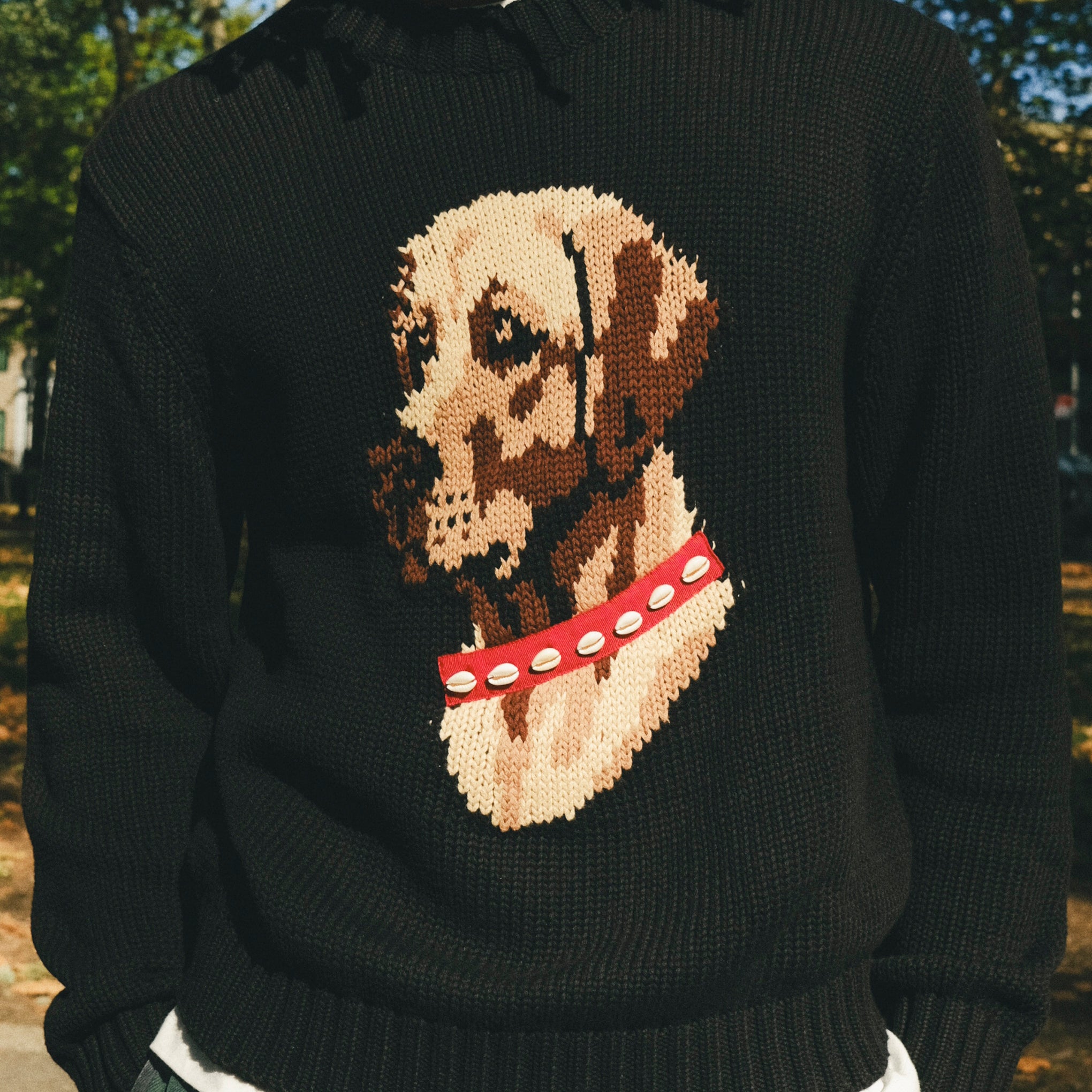 Man wearing a black knit sweater with ribbed collar, cuffs, and hem, featuring an intarsia dog portrait on the front wearing a red collar with white shell details.
