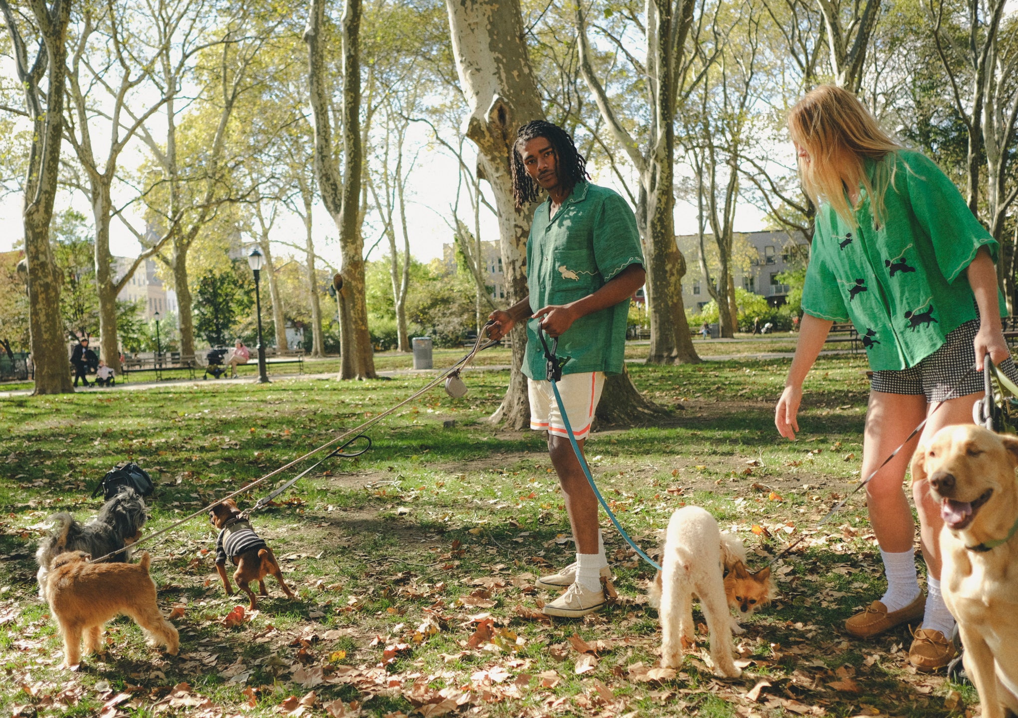 Two people walking dogs in a park on a sunny day, wearing green cabana shirts. 
