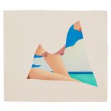 Close up of Wesselman print