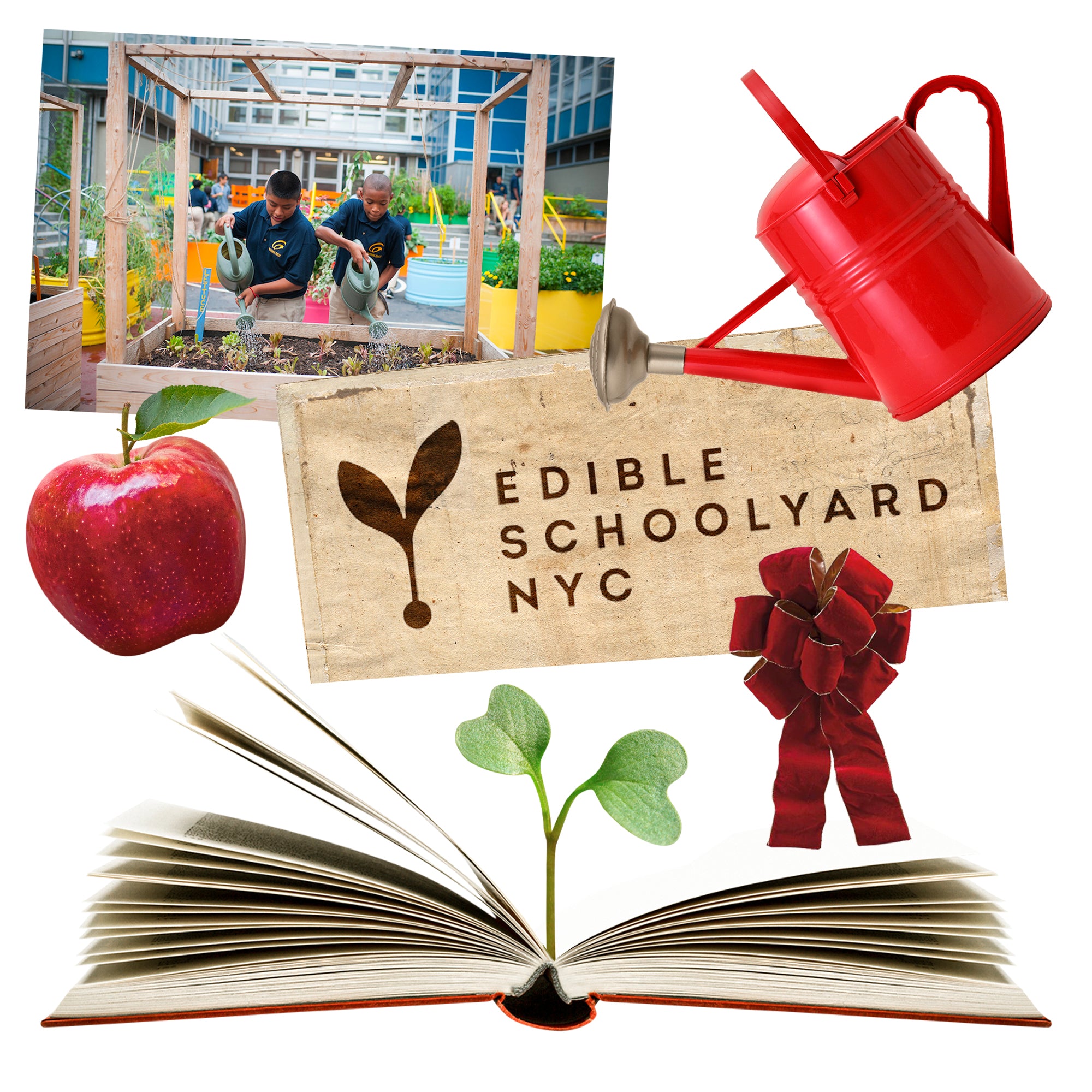 Edible Schoolyard NYC