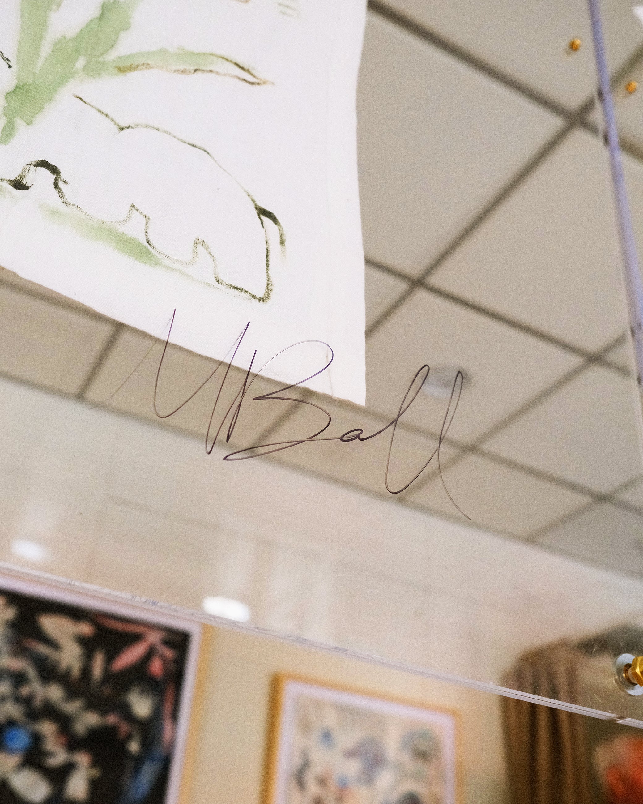 Zoomed-in image of the artist, Mary Ball's signature on the glass case.