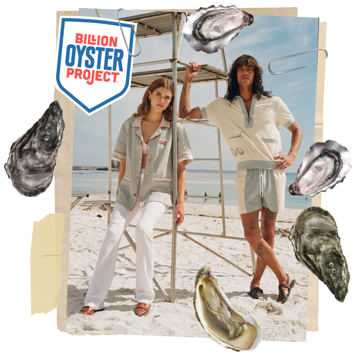 Billion oyster project