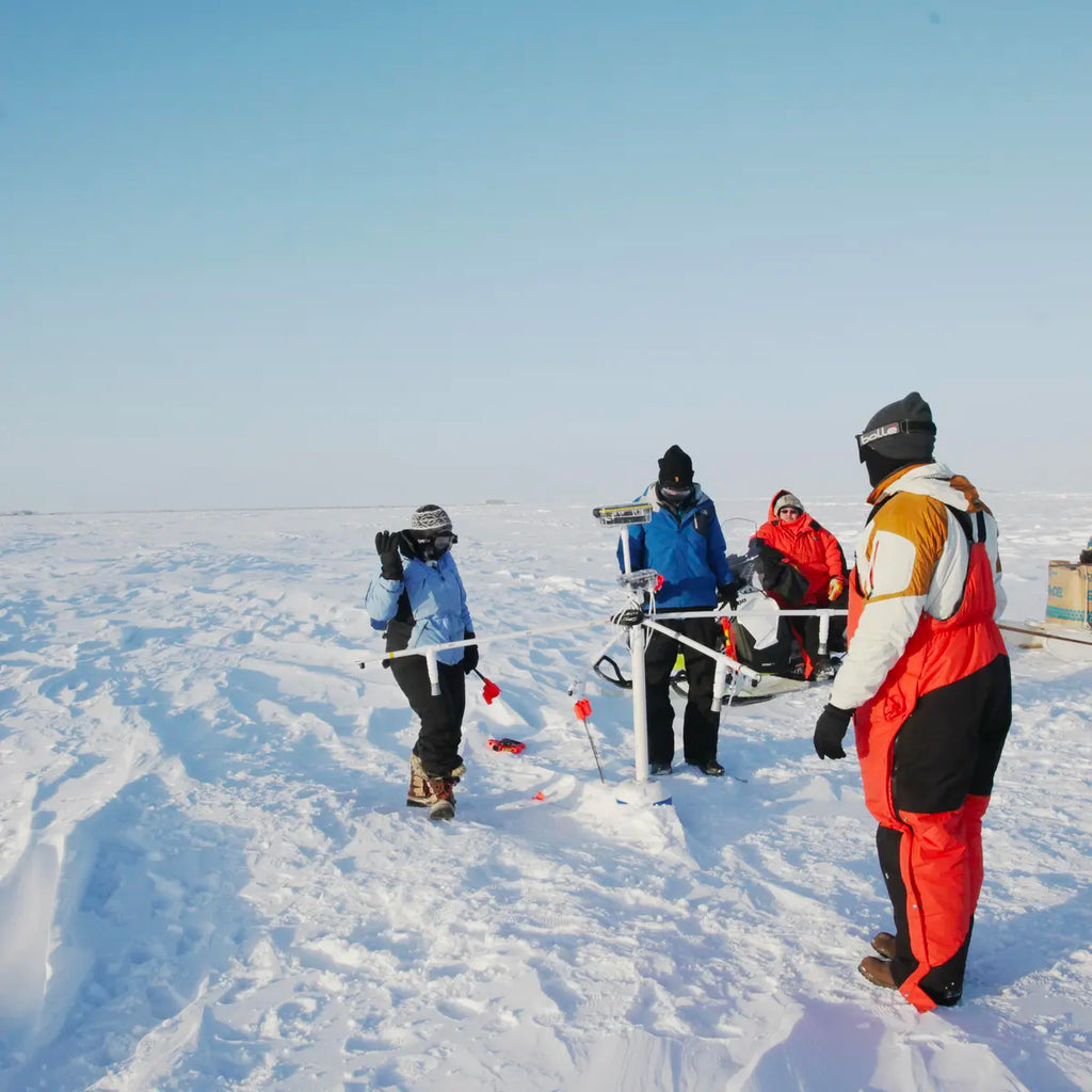 Arctic Explorers in Action