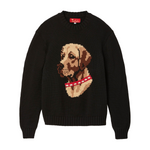 Black knit sweater with ribbed collar, cuffs, and hem, featuring an intarsia dog portrait on the front wearing a red collar with white shell details.