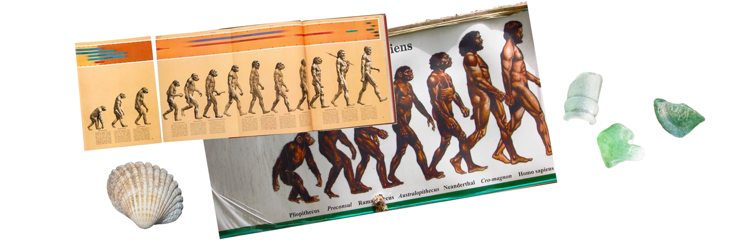 Human march of progress images