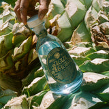 Image of a bottle of Agua Magica Mezcal sitting on top of greenery.