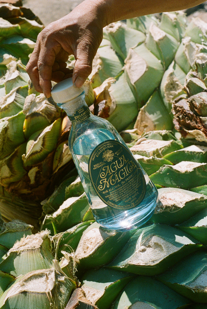Image of a bottle of Agua Magica Mezcal sitting on top of greenery.