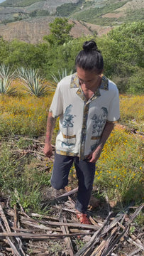 Video of man walking through agave field wearing Alexis Zambrano shirt