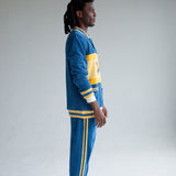 'Big Cat on Campus' Cabana (Long-Sleeve)