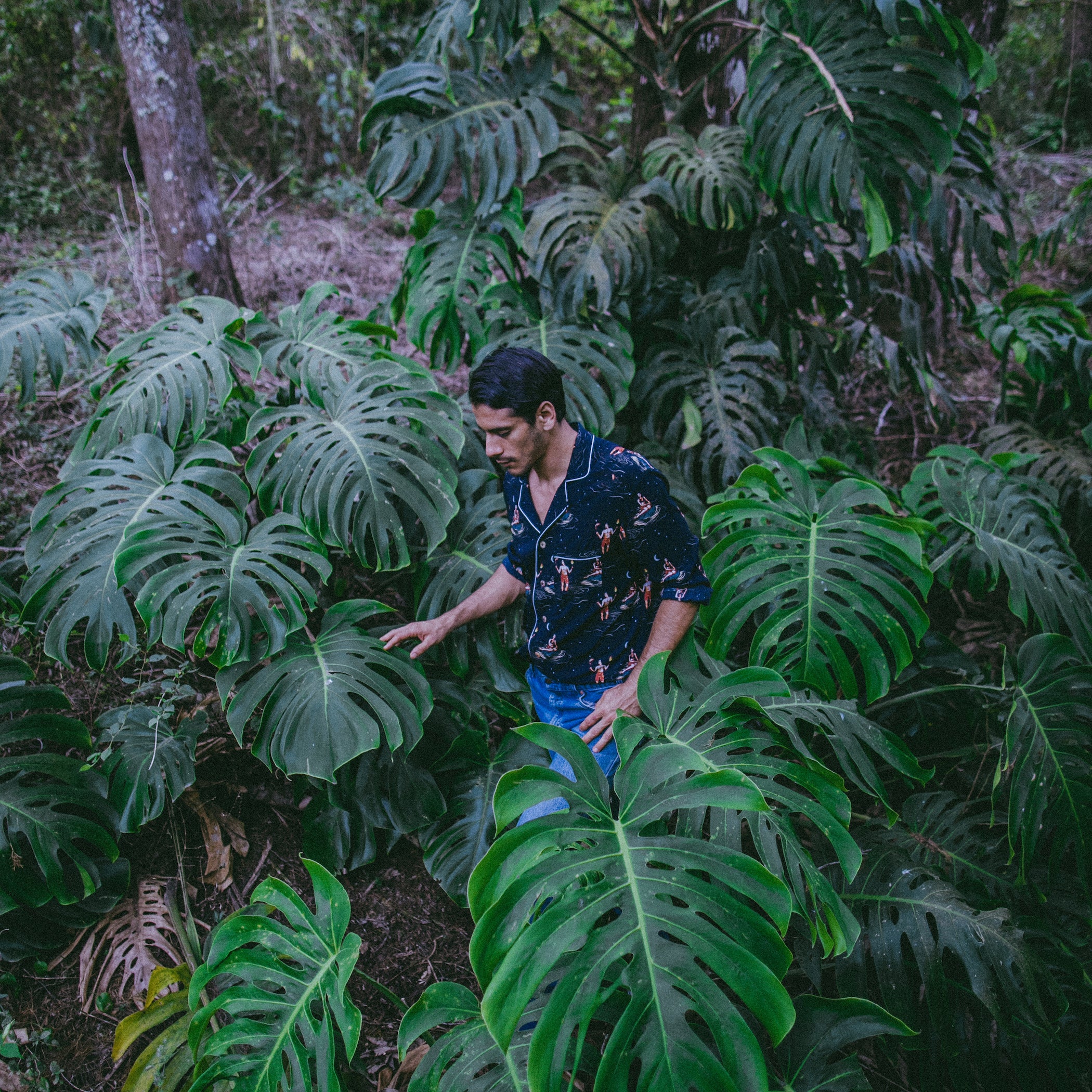 Sometimes you want camouflage. Sometimes you want to stand out at a luau. Tombolo can offer you both! Hawaiian shirts for everyone and every occasion. Resortwear. Streetwear. Anywear. 